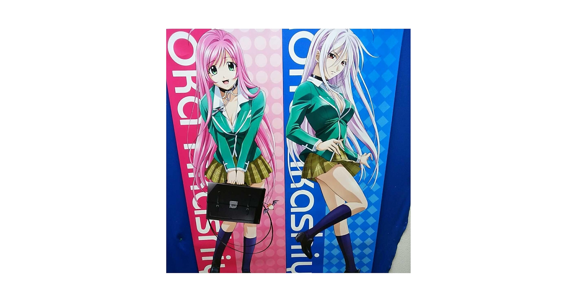 希少ロザリオとバンパイア　裏萌香　等身大タペストリー 満を持して“裏萌香”登場！『ロザリオとバンパイア』サイト更新